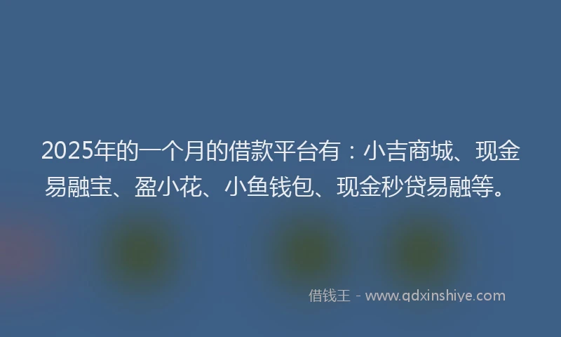 2025年的一个月的借款平台有：小吉商城、现金易融宝、盈小花、小鱼钱包、现金秒贷易融等。