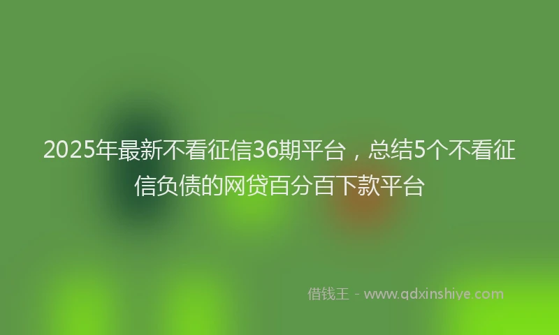 2025年最新不看征信36期平台，总结5个不看征信负债的网贷百分百下款平台