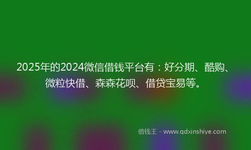 2025年的2024微信借钱平台有：好分期、酷购、微粒快借、森森花呗、借贷宝易等。