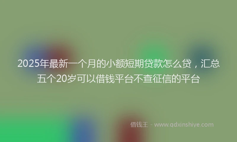2025年最新一个月的小额短期贷款怎么贷，汇总五个20岁可以借钱平台不查征信的平台