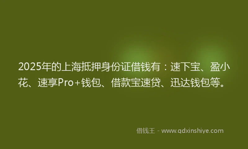 2025年的上海抵押身份证借钱有：速下宝、盈小花、速享Pro+钱包、借款宝速贷、迅达钱包等。
