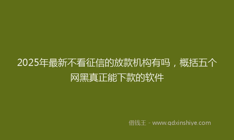2025年最新不看征信的放款机构有吗，概括五个网黑真正能下款的软件