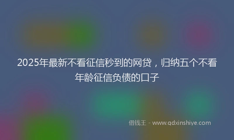 2025年最新不看征信秒到的网贷，归纳五个不看年龄征信负债的口子