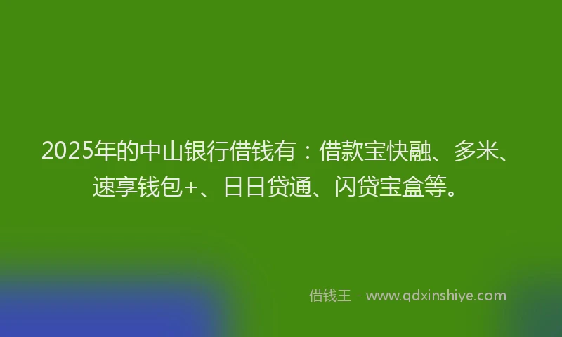2025年的中山银行借钱有：借款宝快融、多米、速享钱包+、日日贷通、闪贷宝盒等。