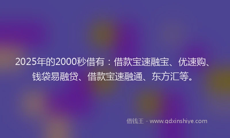 2025年的2000秒借有：借款宝速融宝、优速购、钱袋易融贷、借款宝速融通、东方汇等。