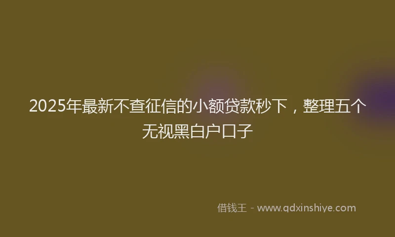 2025年最新不查征信的小额贷款秒下，整理五个无视黑白户口子