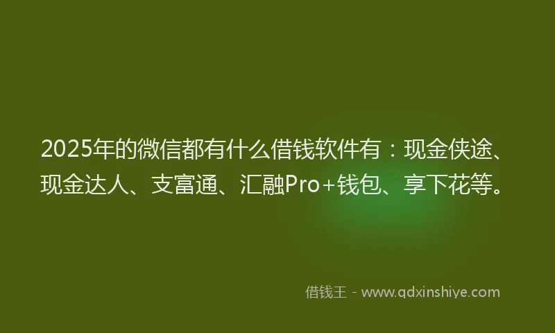 2025年的微信都有什么借钱软件有：现金侠途、现金达人、支富通、汇融Pro+钱包、享下花等。
