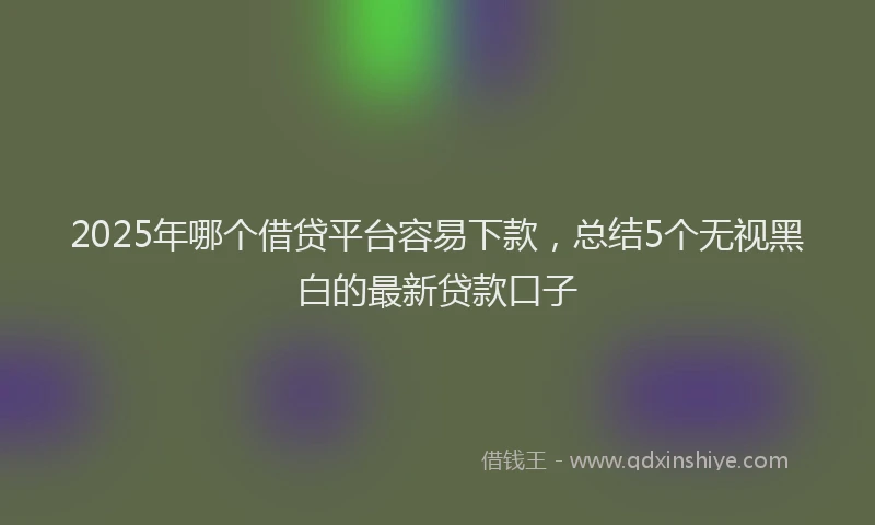 2025年哪个借贷平台容易下款，总结5个无视黑白的最新贷款口子