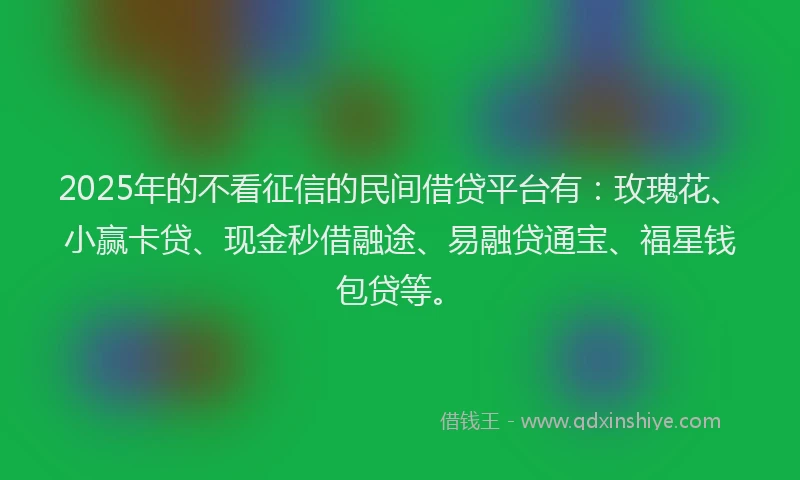 2025年的不看征信的民间借贷平台有：玫瑰花、小赢卡贷、现金秒借融途、易融贷通宝、福星钱包贷等。