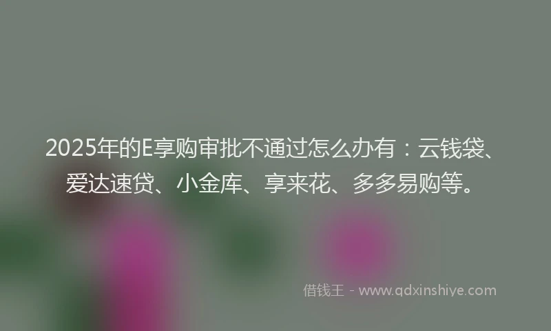2025年的E享购审批不通过怎么办有：云钱袋、爱达速贷、小金库、享来花、多多易购等。