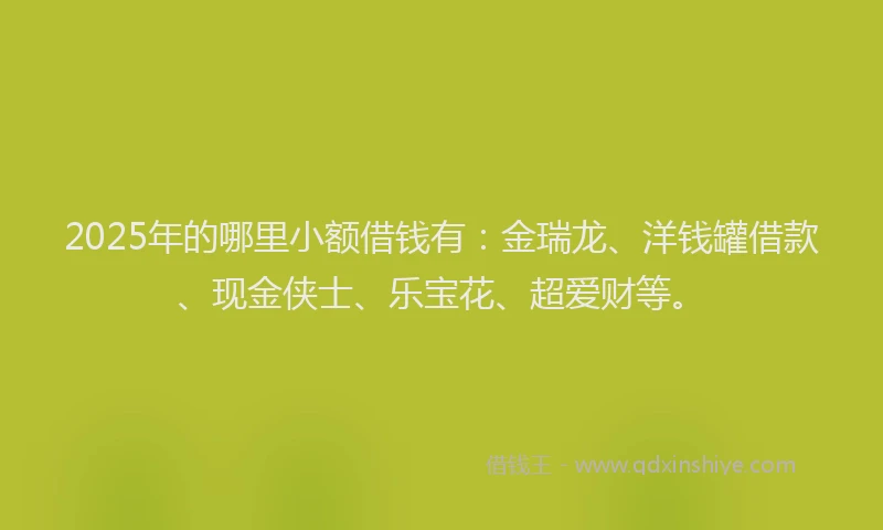 2025年的哪里小额借钱有：金瑞龙、洋钱罐借款、现金侠士、乐宝花、超爱财等。