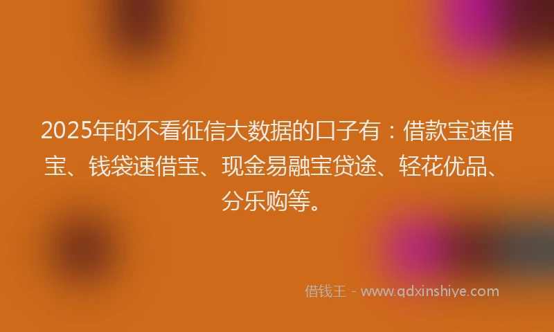 2025年的不看征信大数据的口子有：借款宝速借宝、钱袋速借宝、现金易融宝贷途、轻花优品、分乐购等。