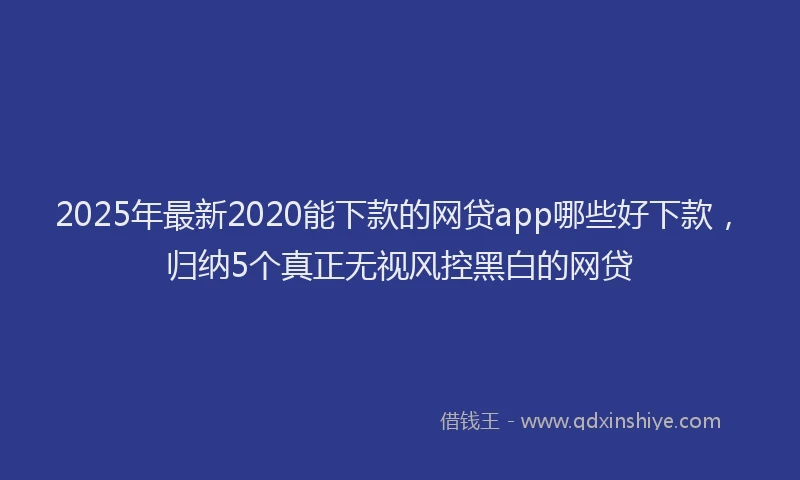 2025年最新2020能下款的网贷app哪些好下款，归纳5个真正无视风控黑白的网贷