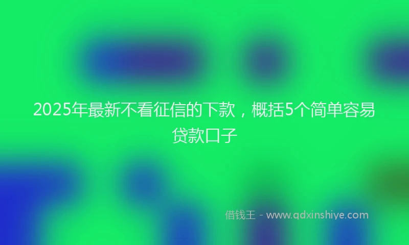 2025年最新不看征信的下款，概括5个简单容易贷款口子