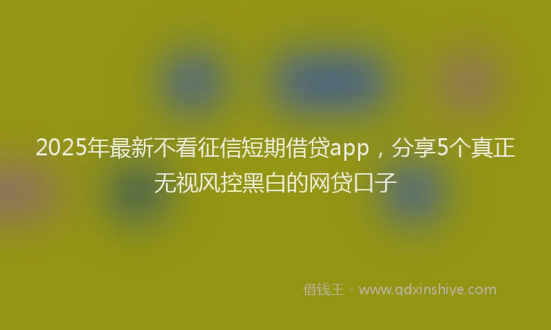 2025年最新不看征信短期借贷app，分享5个真正无视风控黑白的网贷口子