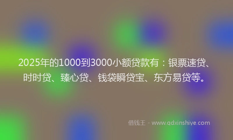 2025年的1000到3000小额贷款有：银票速贷、时时贷、臻心贷、钱袋瞬贷宝、东方易贷等。