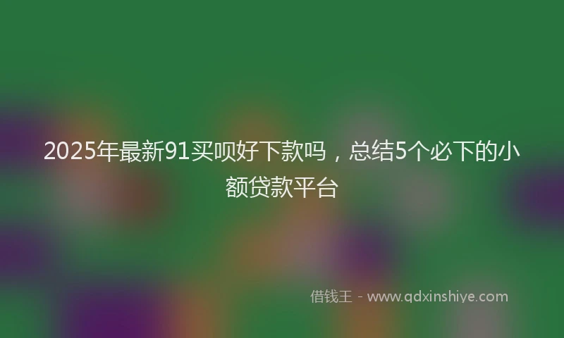 2025年最新91买呗好下款吗，总结5个必下的小额贷款平台
