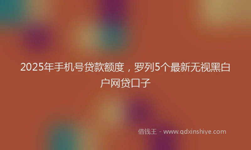 2025年手机号贷款额度，罗列5个最新无视黑白户网贷口子