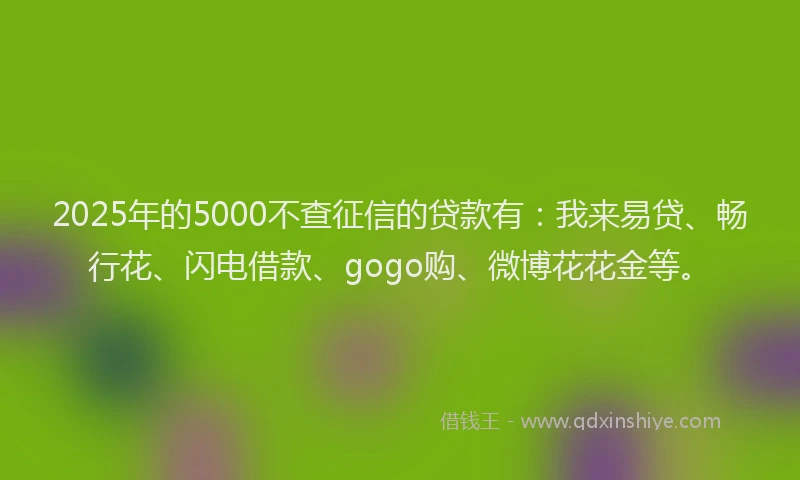 2025年的5000不查征信的贷款有：我来易贷、畅行花、闪电借款、gogo购、微博花花金等。