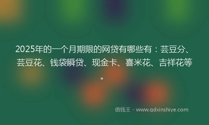 2025年的一个月期限的网贷有哪些有：芸豆分、芸豆花、钱袋瞬贷、现金卡、喜米花、吉祥花等。