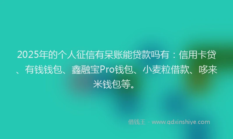 2025年的个人征信有呆账能贷款吗有：信用卡贷、有钱钱包、鑫融宝Pro钱包、小麦粒借款、哆来米钱包等。