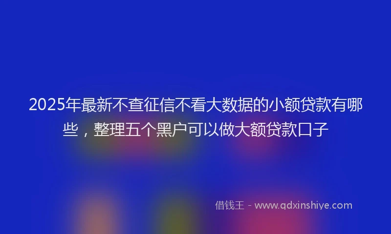 2025年最新不查征信不看大数据的小额贷款有哪些，整理五个黑户可以做大额贷款口子