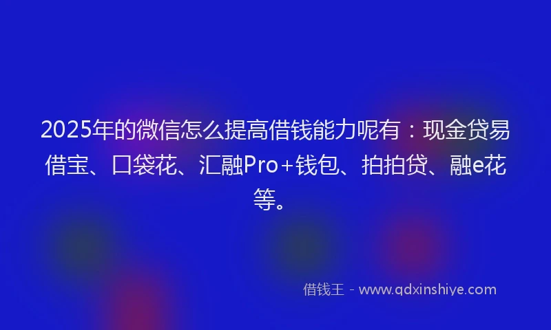 2025年的微信怎么提高借钱能力呢有：现金贷易借宝、口袋花、汇融Pro+钱包、拍拍贷、融e花等。