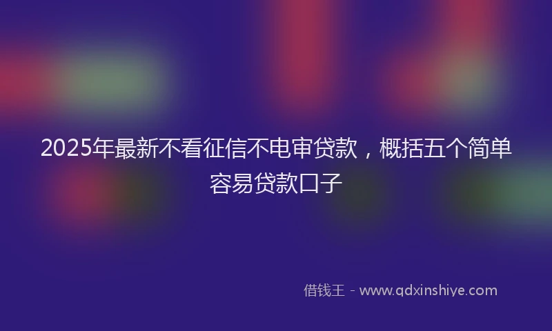 2025年最新不看征信不电审贷款，概括五个简单容易贷款口子