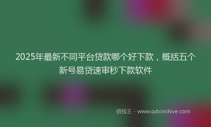 2025年最新不同平台贷款哪个好下款，概括五个新号易贷速审秒下款软件