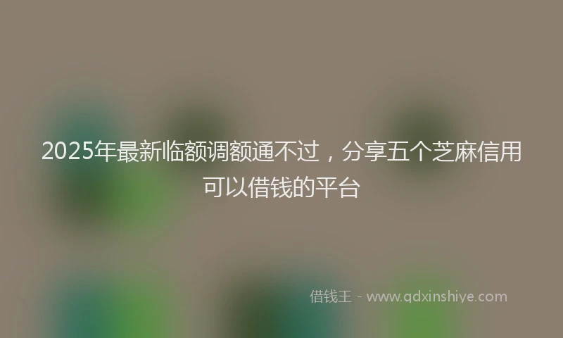 2025年最新临额调额通不过，分享五个芝麻信用可以借钱的平台