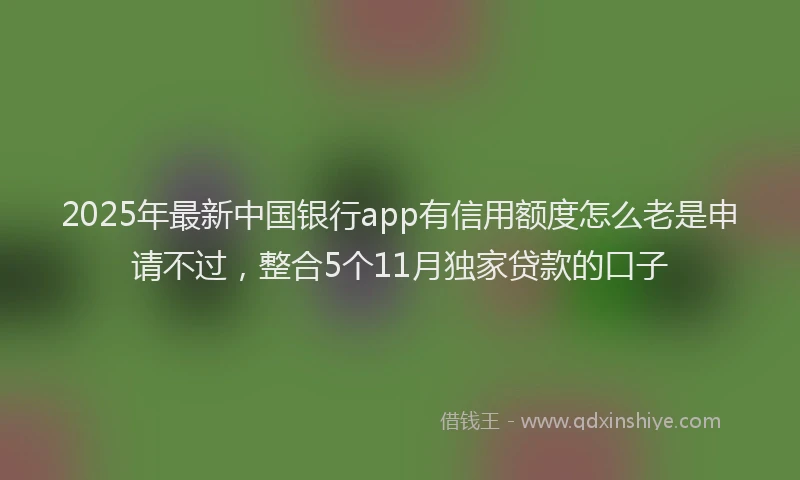 2025年最新中国银行app有信用额度怎么老是申请不过，整合5个11月独家贷款的口子