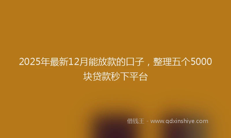 2025年最新12月能放款的口子，整理五个5000块贷款秒下平台