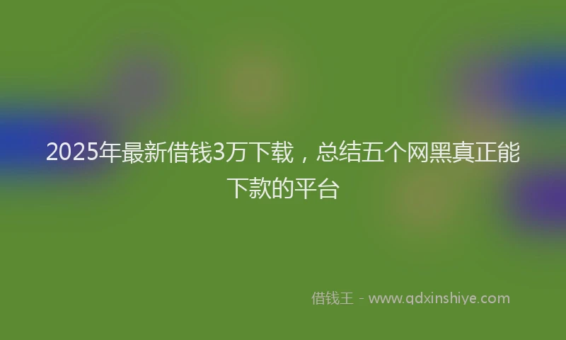 2025年最新借钱3万下载，总结五个网黑真正能下款的平台