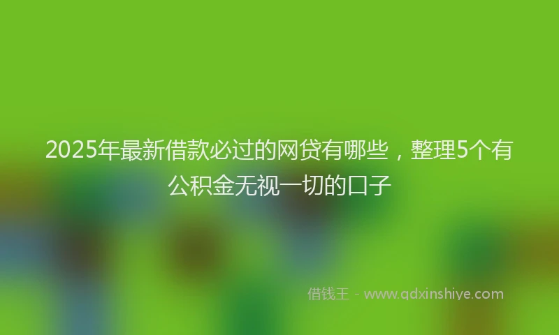 2025年最新借款必过的网贷有哪些，整理5个有公积金无视一切的口子
