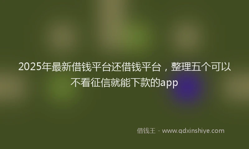 2025年最新借钱平台还借钱平台，整理五个可以不看征信就能下款的app