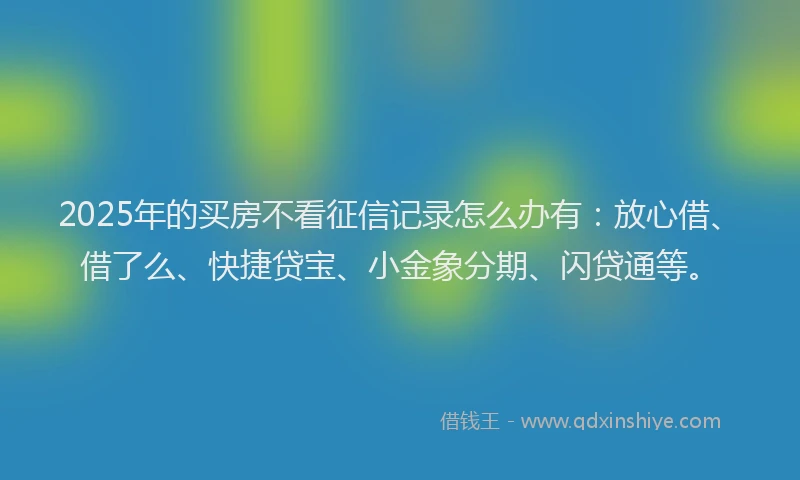 2025年的买房不看征信记录怎么办有：放心借、借了么、快捷贷宝、小金象分期、闪贷通等。