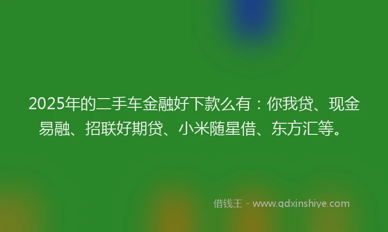 2025年的二手车金融好下款么有：你我贷、现金易融、招联好期贷、小米随星借、东方汇等。