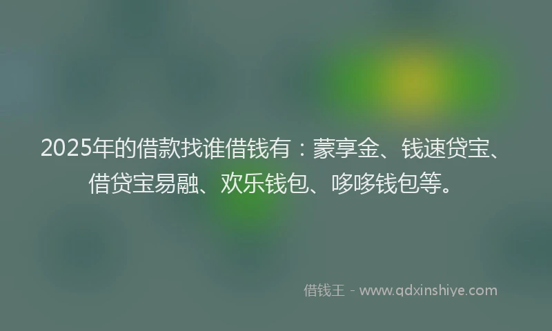 2025年的借款找谁借钱有：蒙享金、钱速贷宝、借贷宝易融、欢乐钱包、哆哆钱包等。