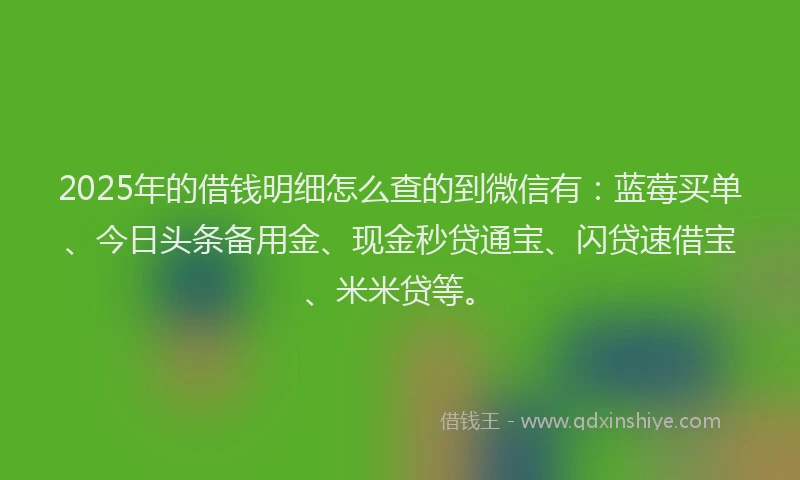 2025年的借钱明细怎么查的到微信有：蓝莓买单、今日头条备用金、现金秒贷通宝、闪贷速借宝、米米贷等。