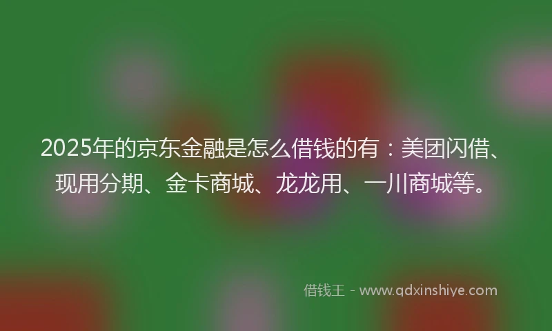 2025年的京东金融是怎么借钱的有：美团闪借、现用分期、金卡商城、龙龙用、一川商城等。