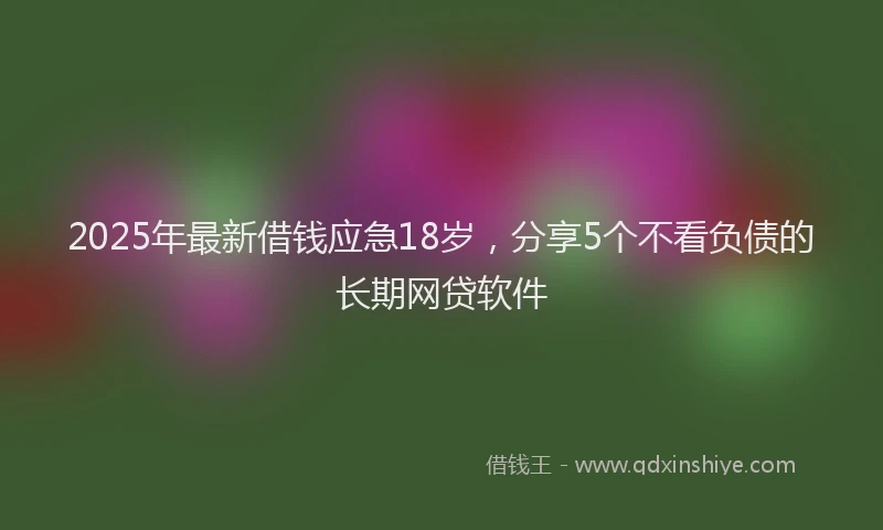 2025年最新借钱应急18岁，分享5个不看负债的长期网贷软件