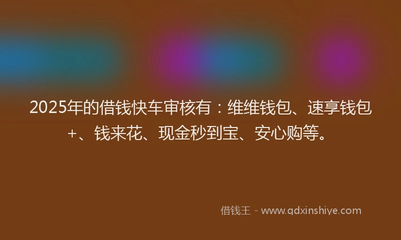 2025年的借钱快车审核有：维维钱包、速享钱包+、钱来花、现金秒到宝、安心购等。