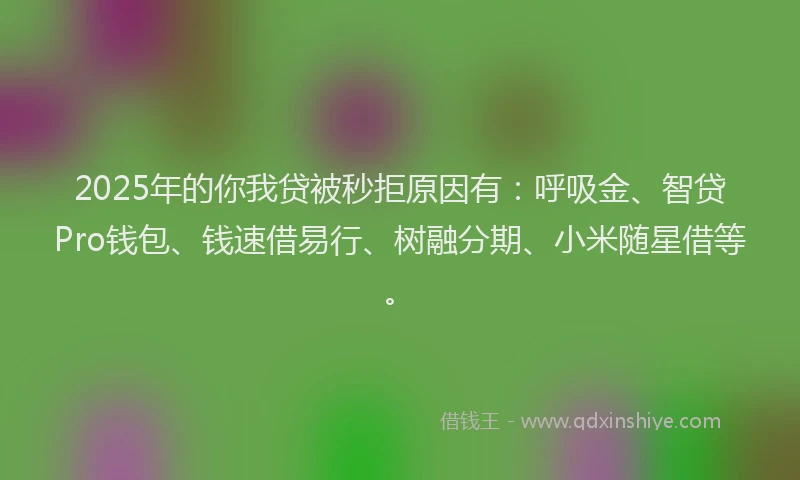 2025年的你我贷被秒拒原因有：呼吸金、智贷Pro钱包、钱速借易行、树融分期、小米随星借等。