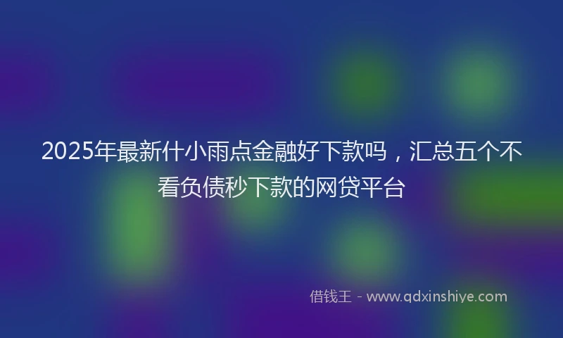 2025年最新什小雨点金融好下款吗，汇总五个不看负债秒下款的网贷平台