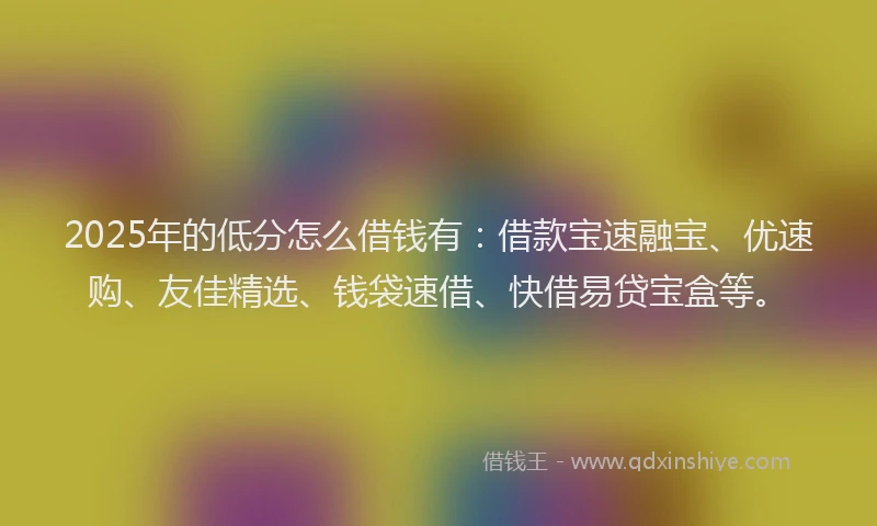 2025年的低分怎么借钱有：借款宝速融宝、优速购、友佳精选、钱袋速借、快借易贷宝盒等。