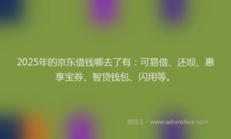 2025年的京东借钱哪去了有：可易借、还呗、惠享宝券、智贷钱包、闪用等。