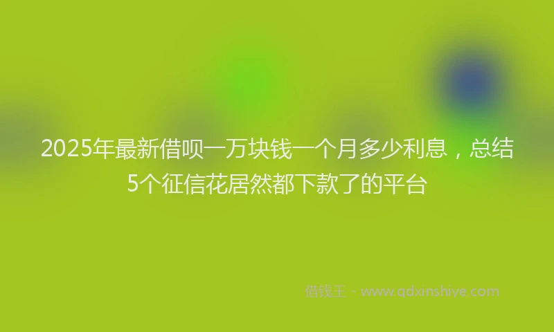 2025年最新借呗一万块钱一个月多少利息，总结5个征信花居然都下款了的平台