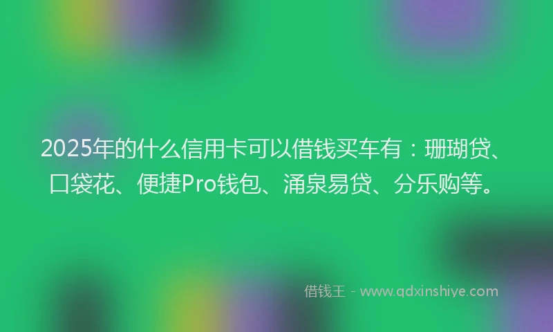 2025年的什么信用卡可以借钱买车有：珊瑚贷、口袋花、便捷Pro钱包、涌泉易贷、分乐购等。