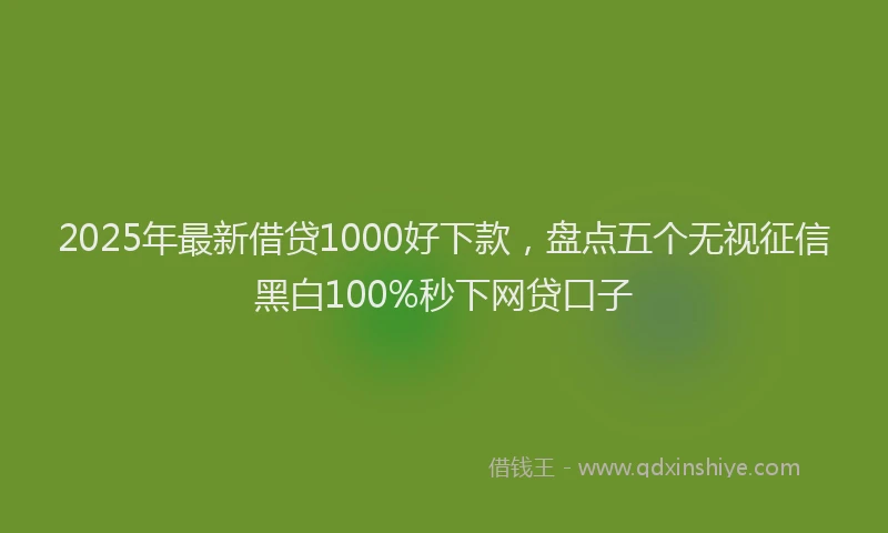 2025年最新借贷1000好下款，盘点五个无视征信黑白100%秒下网贷口子