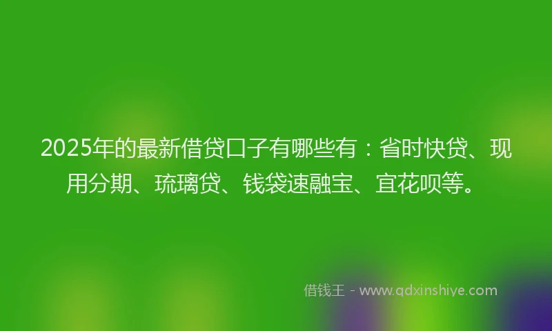 2025年的最新借贷口子有哪些有：省时快贷、现用分期、琉璃贷、钱袋速融宝、宜花呗等。